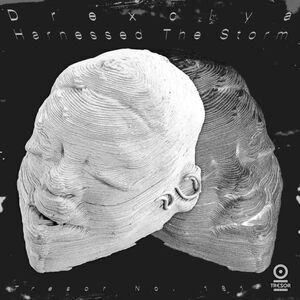 Drexciya - Harnessed The Storm  LP LP